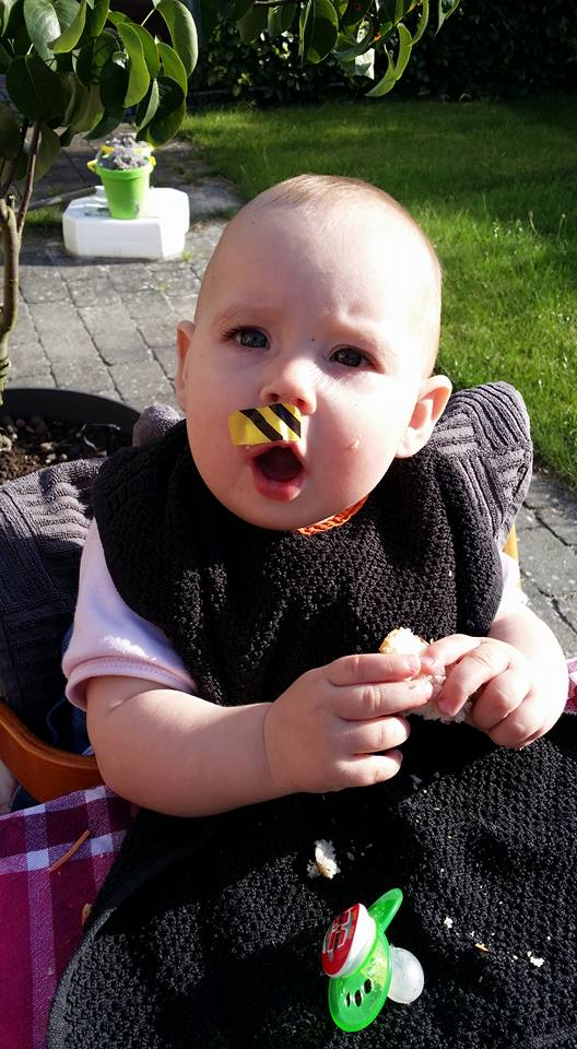 Bee-Patch 9 Bee-Patch – Image 7