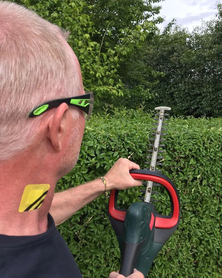 Bee-Patch 8 Bee-Patch – Image 6